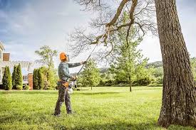 Best Landscape Design and Installation  in Dunnavant, AL